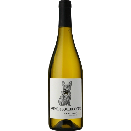 French Bouledogue Picpoul De Pinet